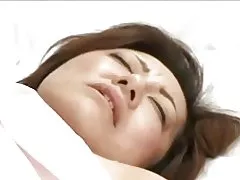 داغ ژاپنی بالغ